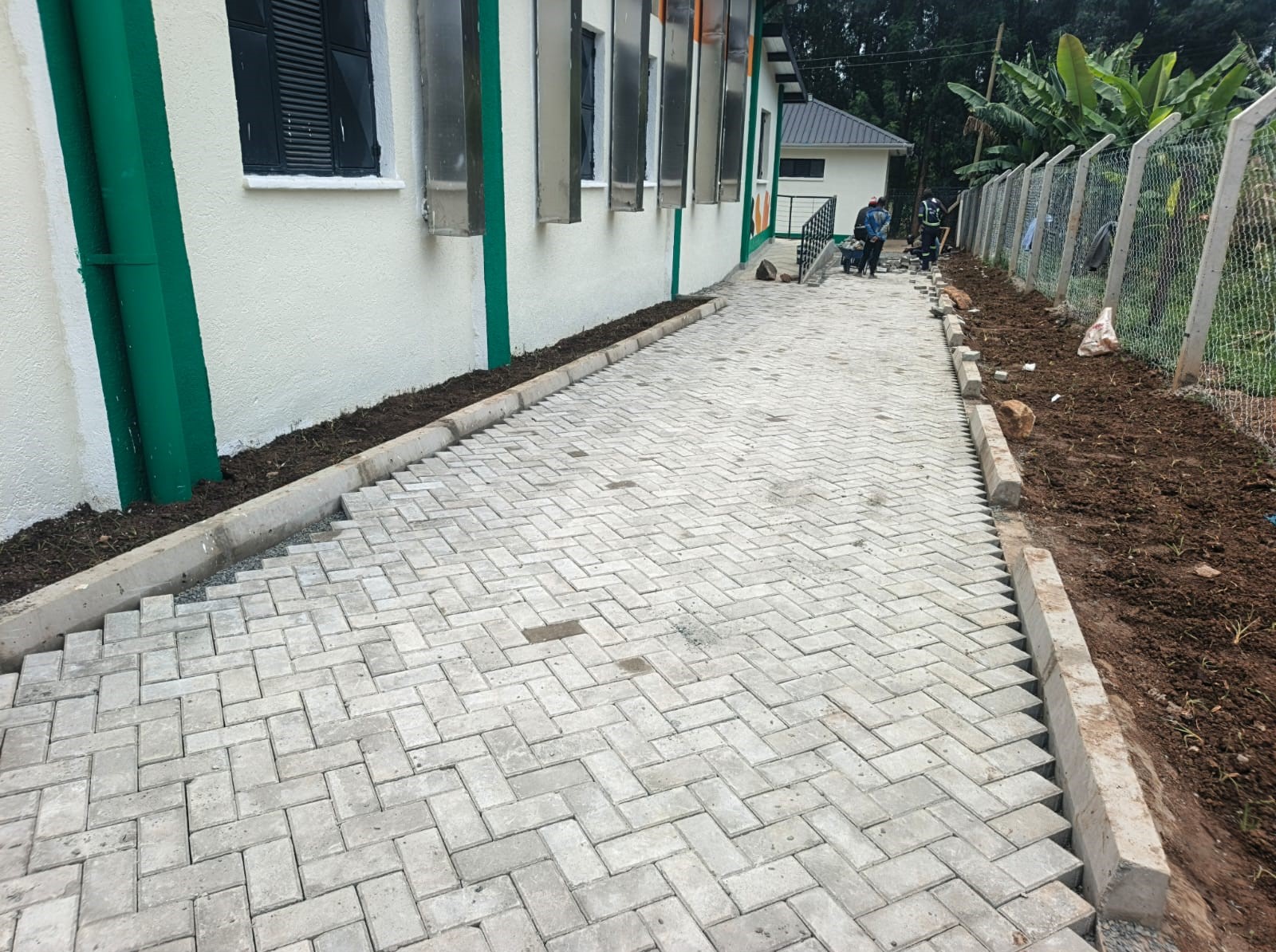 Structural Development